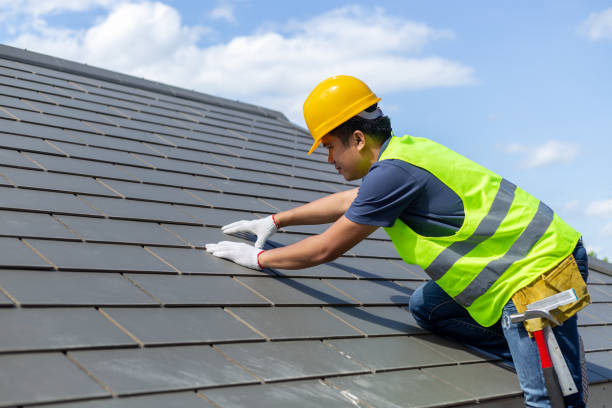 Best Local Roofing Companies  in La Nte, MO