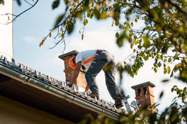 Best Slate Roofing Contractor  in La Nte, MO