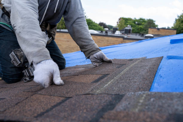 Best Affordable Roof Replacement  in La Nte, MO