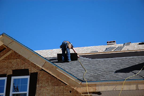 Best Roof Maintenance Services  in La Nte, MO