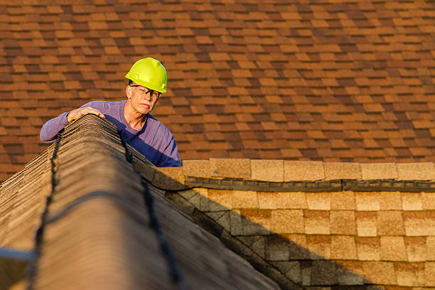 Best Gutter Installation and Roofing  in La Nte, MO