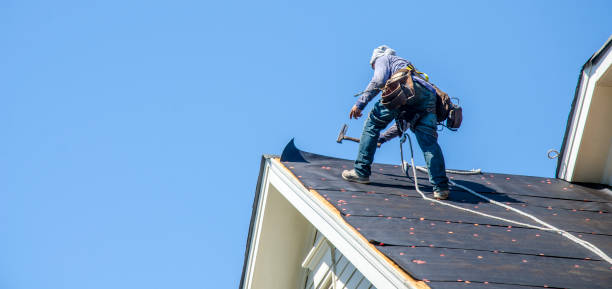 Best Gutter Installation and Roofing  in La Nte, MO